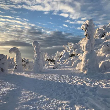 Iso-syoetteen Pilikki Alpehytte Syöte